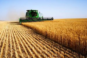 L’Europe agricole : déclin ou puissance ?