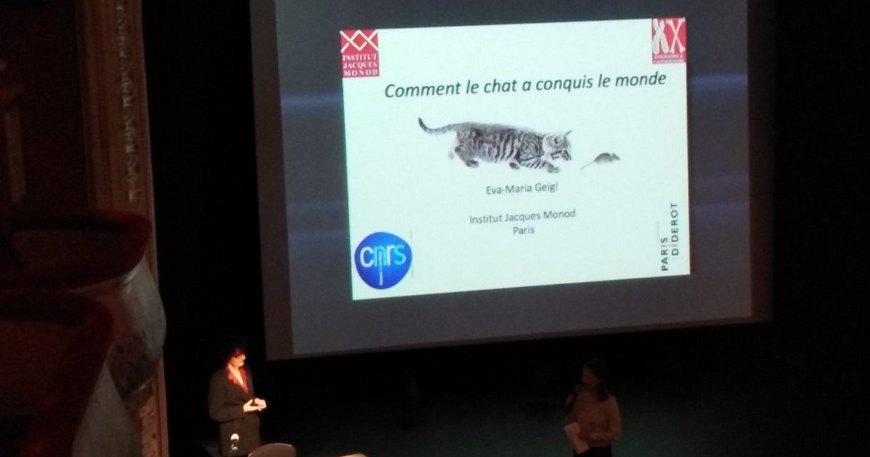 Comment le chat a conquis le monde