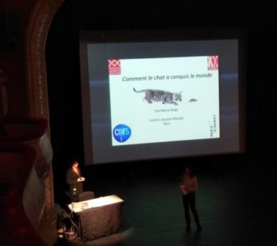 Comment le chat a conquis le monde - Les Clionautes