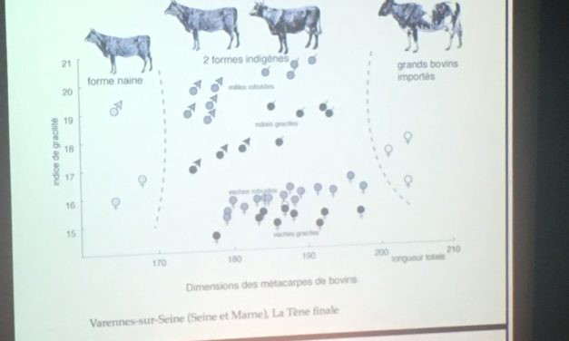 Agriculture et élevage en Gaule