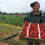 Les migrants internationaux, nouveaux acteurs des dynamiques agricoles françaises