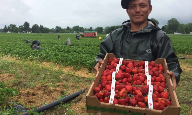 Les migrants internationaux, nouveaux acteurs des dynamiques agricoles françaises