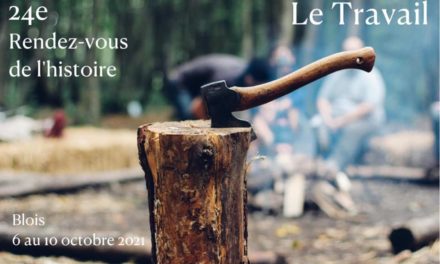 Image illustrant l'article 22474E96-5509-4B2F-BD22-19D2C3DD6E47 de Les Clionautes