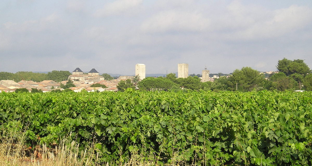 Le vignoble du Languedoc