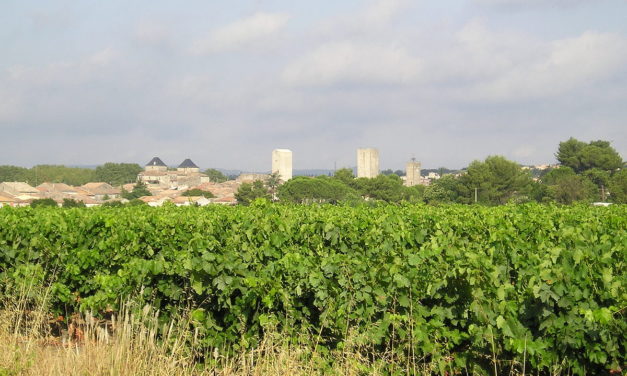 Le vignoble du Languedoc