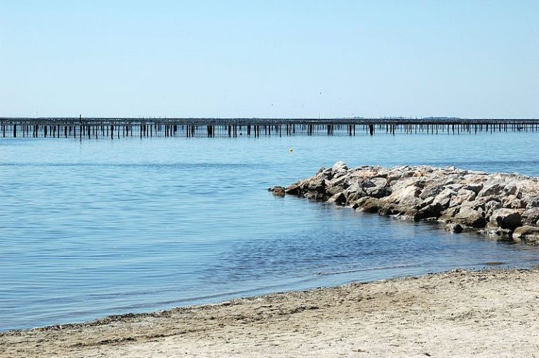 Parc à moules de Bouzigues