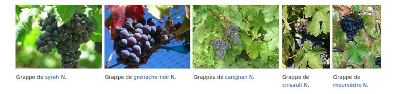 cépages