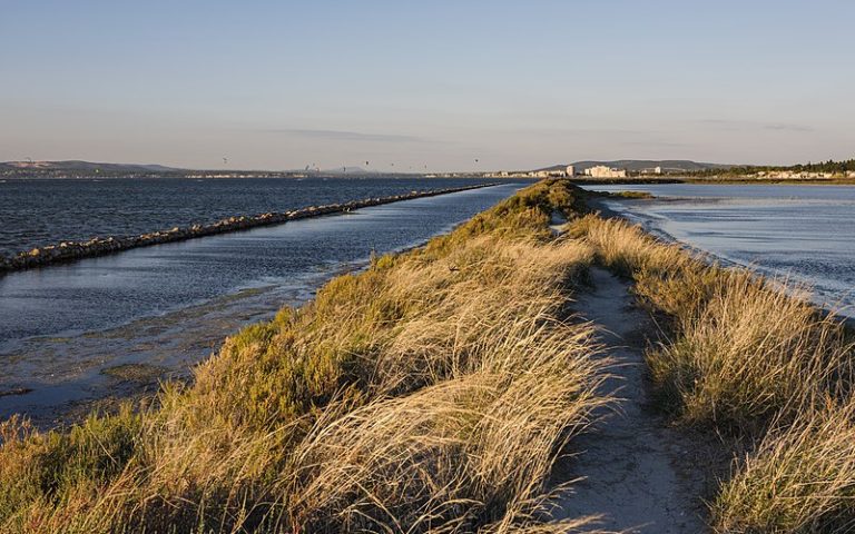 Le lido de Thau