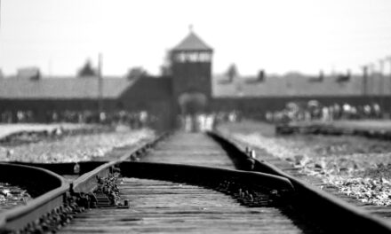 Image illustrant l'article birkenau-402324_1280 de Les Clionautes