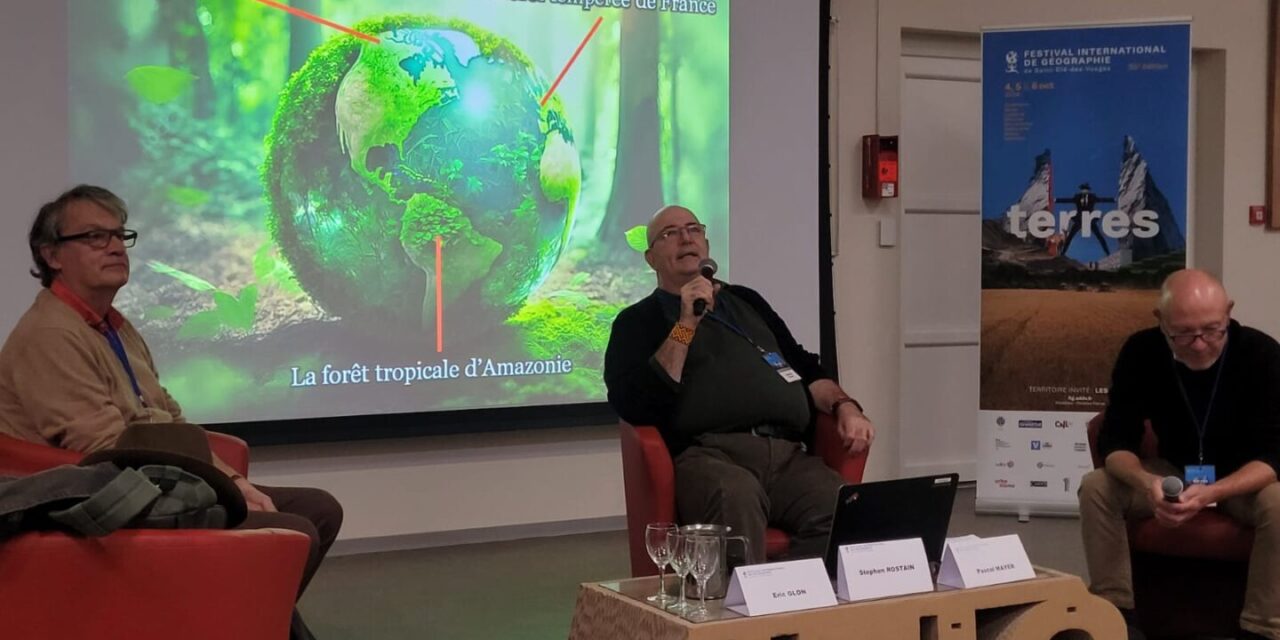 À qui appartient la terre forestière ?