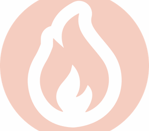 Faire une simulation Assemblée nationale avec l’Association nationale de la jeunesse