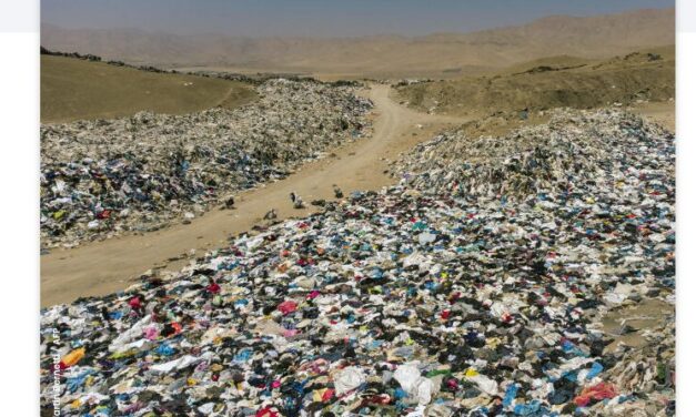 Raconte-moi ton tee-shirt – Étude des impacts de la fast fashion