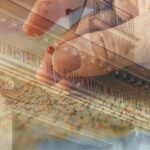 Programmes d’histoire-géographie cycle 2 et 3 : notre audition à la DGESCO et nos propositions pour une réforme cohérente