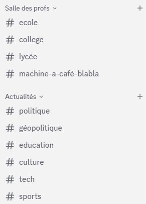 Liste des salons du serveur Discord des Clionautes : Agora, Salle des profs, Actualités, Concours