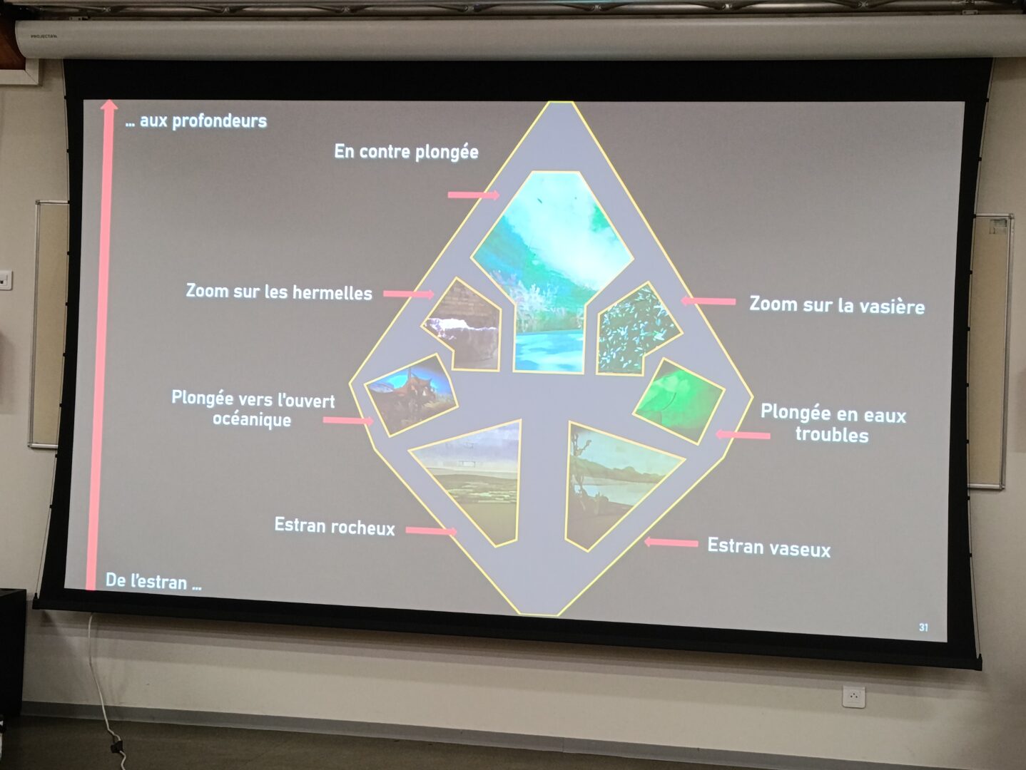 Parcours imMERsif