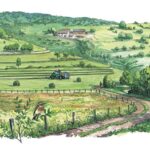 Le paysage agro-pastoral : un enjeu majeur pour le massif des Vosges
