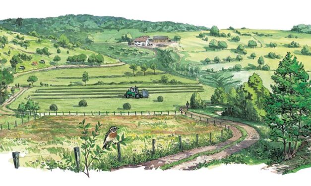 Le paysage agro-pastoral : un enjeu majeur pour le massif des Vosges