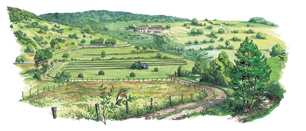 Le paysage agro-pastoral : un enjeu majeur pour le massif des Vosges
