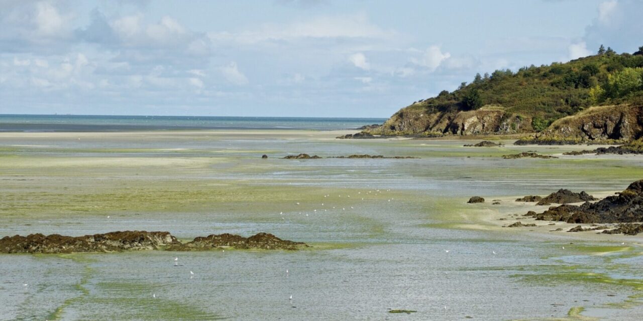 Protéger le désordre ? Paysage et algues vertes dans la baie de Saint-Brieuc