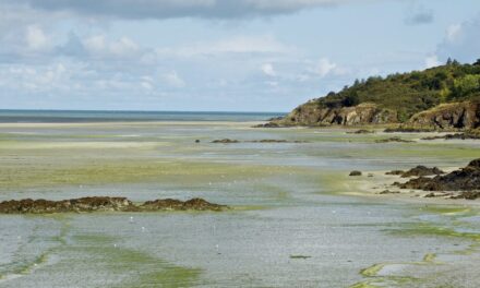 Protéger le désordre ? Paysage et algues vertes dans la baie de Saint-Brieuc