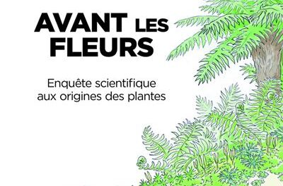 Avant les fleurs, une enquête sur les origines des plantes