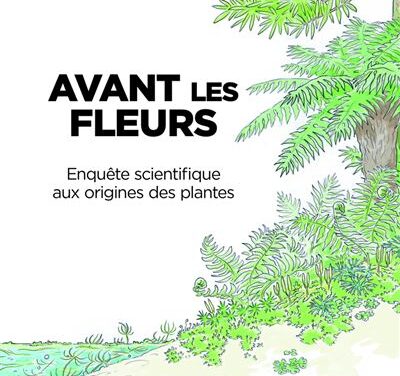 Avant les fleurs, une enquête sur les origines des plantes