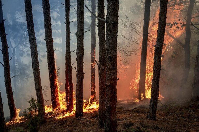Peut-on encore croire au paysage ?