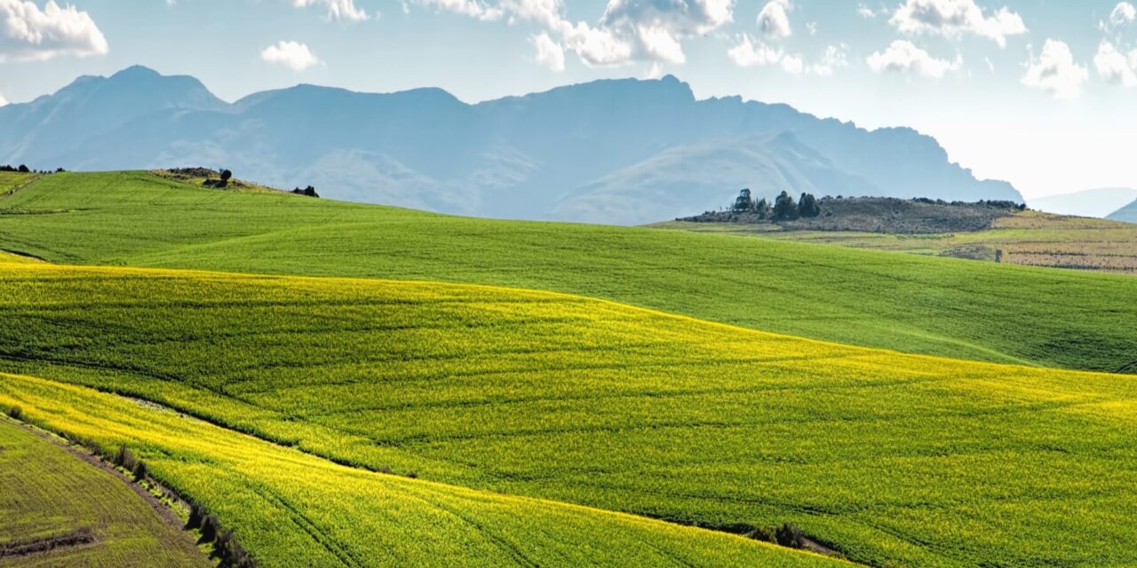 Les paysages de l’alimentation
