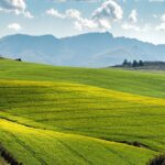 Les paysages de l’alimentation