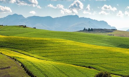 Les paysages de l’alimentation