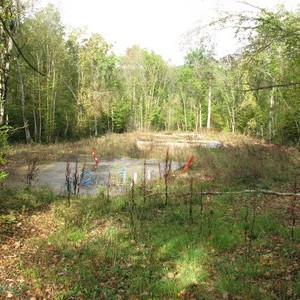 Emplacement des pavillons dans la forêt